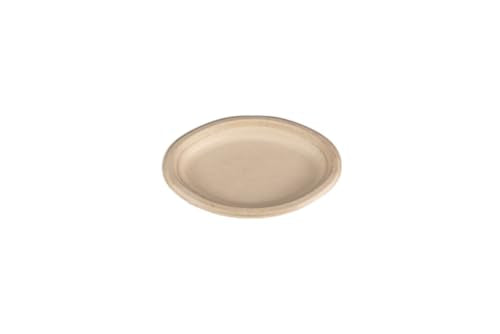Plato ovalado champware natural 10pulg set 250 pzas
