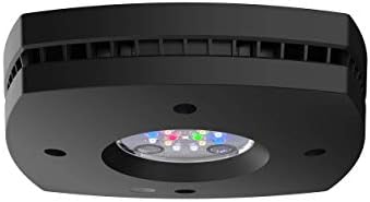 Lámpara LED agua dulce color negro