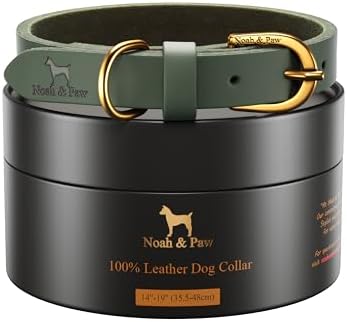Collar perro cuero genuino hebilla metal 14-19pulg verde