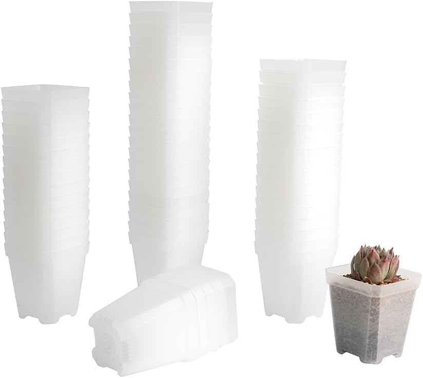 60 Macetas Plástico Cuadradas 2.7pulg Transparente Drenaje