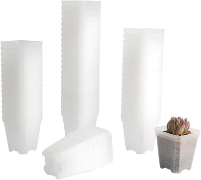 60 Macetas Plástico Cuadradas 2.7pulg Transparente Drenaje