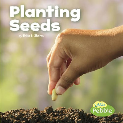 Juego semillas primavera Little Pebble