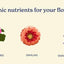 Fertilizante orgánico Bloom Boost 16oz para brotes y floración