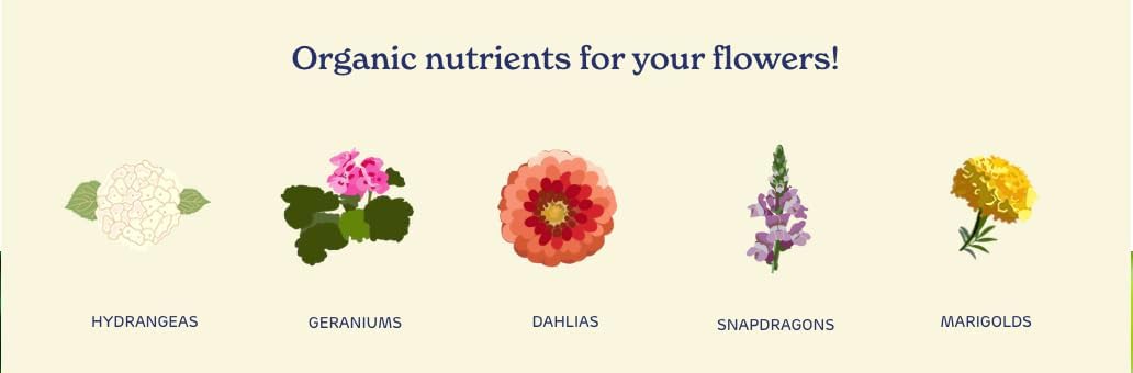 Fertilizante orgánico Bloom Boost 16oz para brotes y floración
