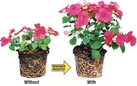 Sobres para crecimiento rápido de plantas