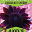 Paquetes semillas girasol cereza chocolate jardín hogar sin OMG