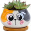 Macetas cerámica forma animal cactus suculentas gato