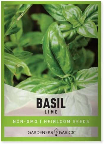 Semillas albahaca lima para plantar hierbas interior exterior