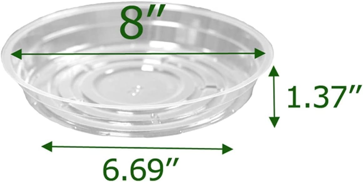 5 Pzas Platillos Transparentes 8pulg Bandeja Macetas