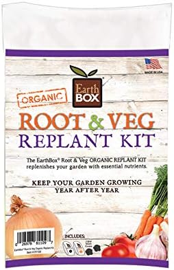 Maceta 81109 para raíz y vegetal bosque lluvioso
