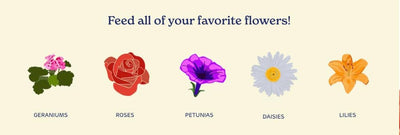 Fertilizante orgánico para rosas y flores 4libra cubre 70pies2