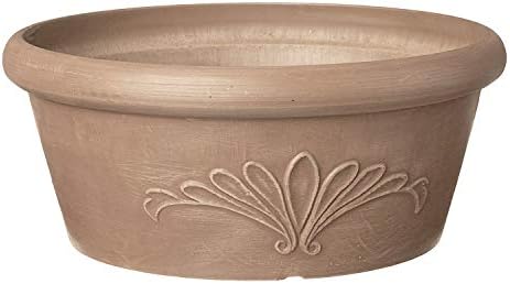 Bandeja bulbos plástico/madera 10" para suculentas y hierbas