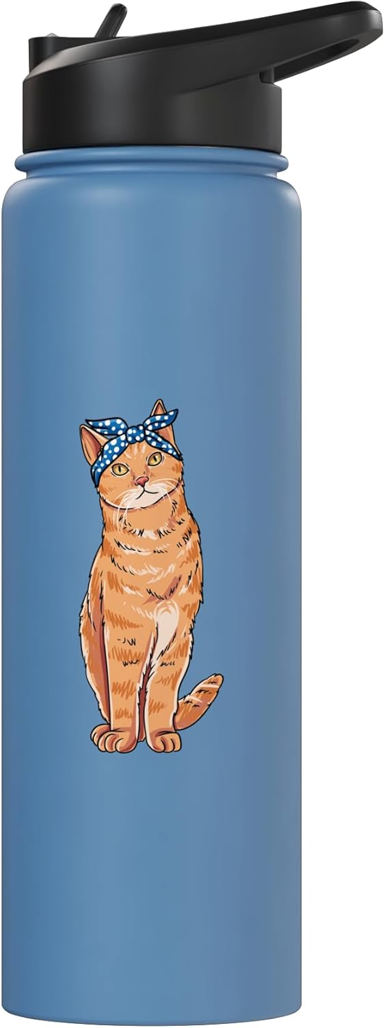Botella agua acero inox aislada para gato naranja