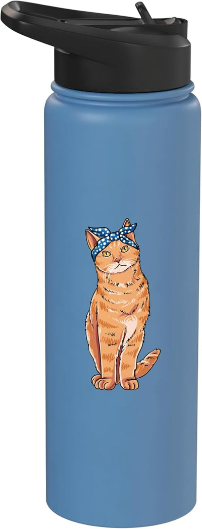 Botella agua acero inox aislada para gato naranja