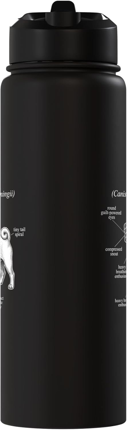 Botella agua acero inox aislada diagrama perro pug