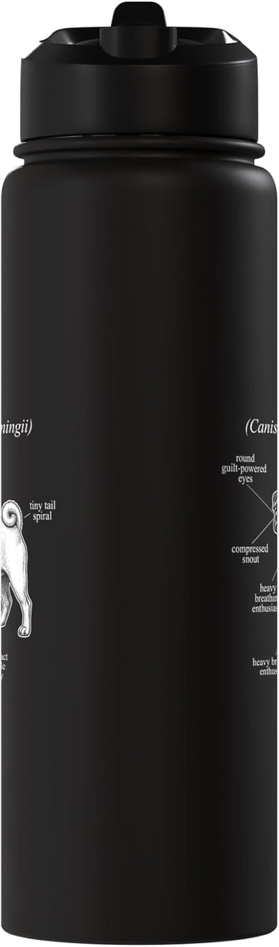 Botella agua acero inox aislada diagrama perro pug
