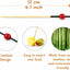 100 Palillos Bambú 4.7pulg Aperitivos Postres