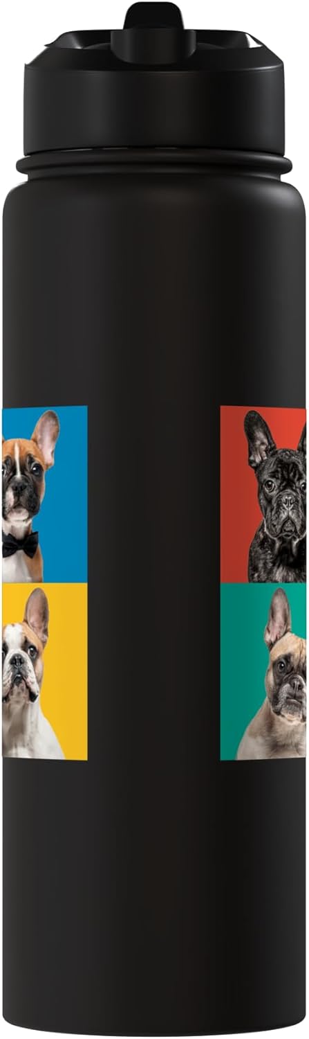 Botella de agua acero inoxidable sin BPA para perros Frenchie