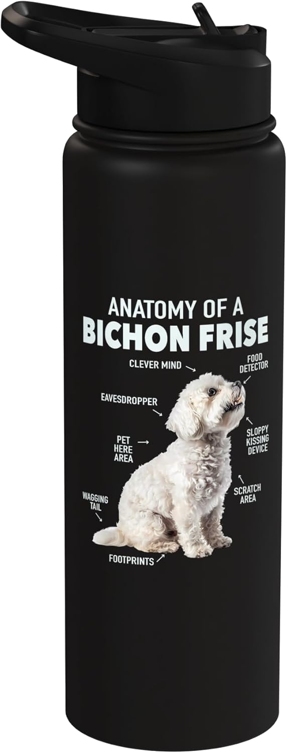Botella de agua aislada acero inoxidable Bichon Frise