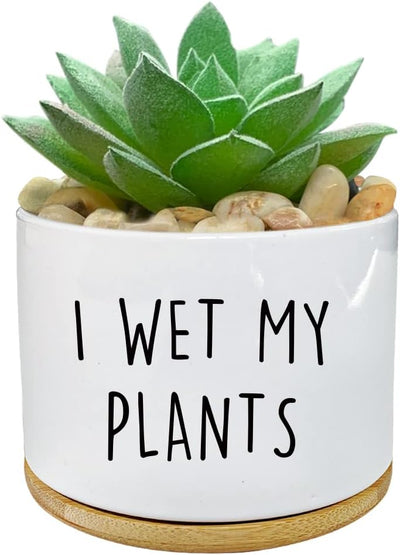 Maceta cerámica blanca 3.5pulg cactus suculentas con bandeja bambú