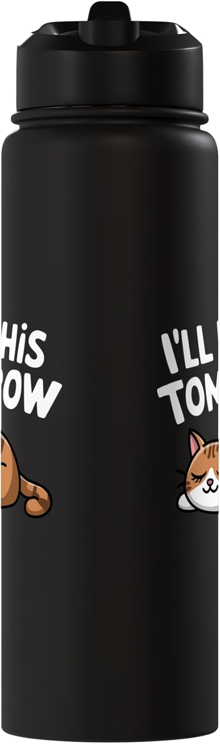 Bote de agua aislado para gatos de acero inoxidable sin BPA