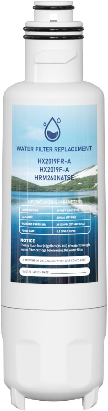 Filtro agua repuesto comp Hisense HX2019FR-A Mora MRM260N6T6TBWB