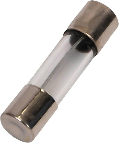 5A Fusible Vidrio Retardo 10 Pzas 5x20mm 125V