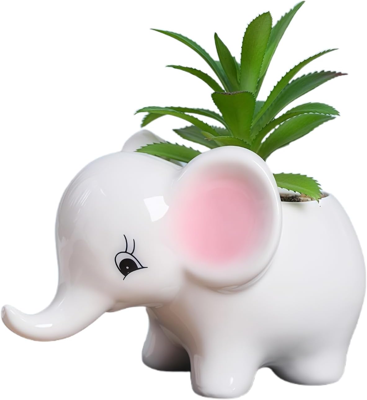 Macetas cerámica elefante con suculentas y cactus rosa y blanco