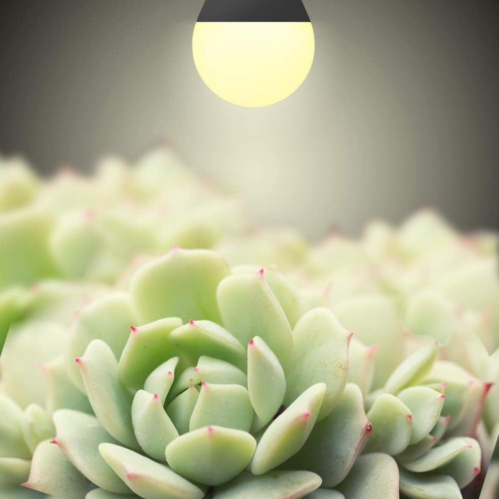6 Pzas Bombilla LED Cultivo E26 9W Espectro Completo