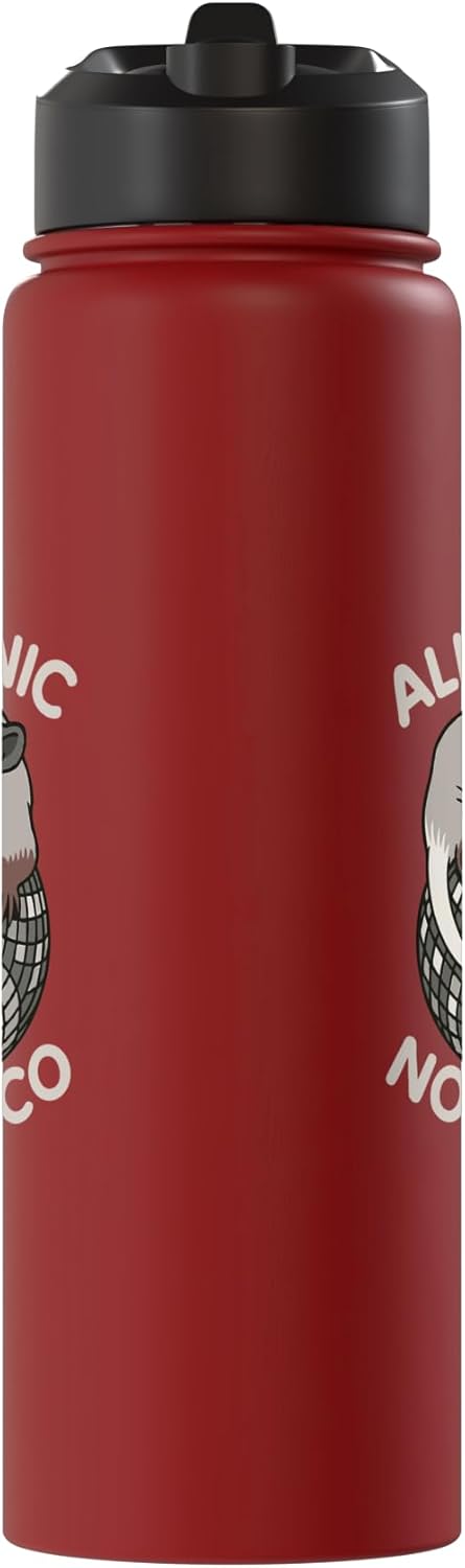 Botella de agua aislada de acero inoxidable sin disco