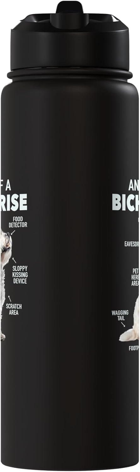 Botella de agua aislada acero inoxidable Bichon Frise