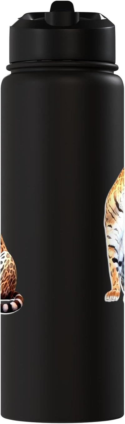 Bottella de agua aislada de acero inoxidable para Jaguar