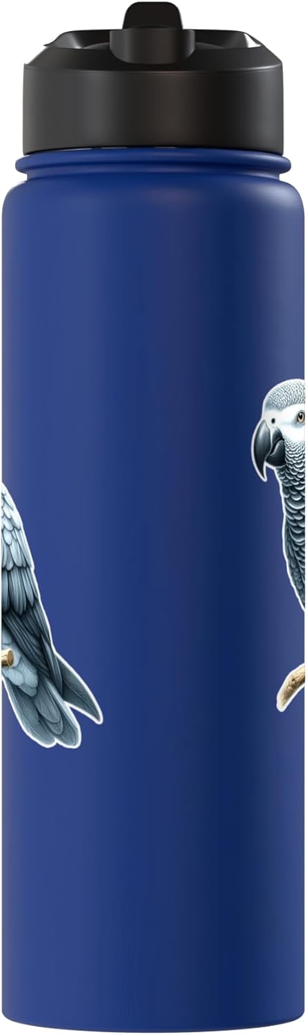 Botella de agua aislada acero inoxidable loro gris africano
