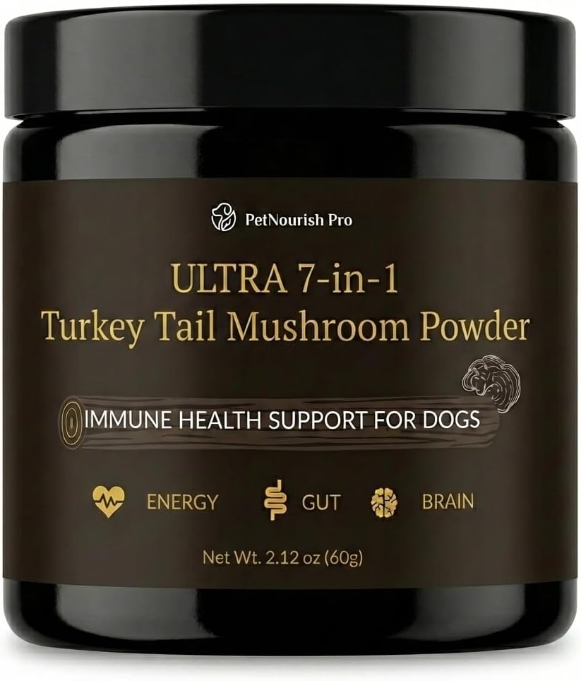 Hongo cola pavo perros 7en1 inmune digestivo