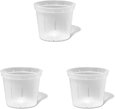 Maceta orquídea transparente ranurada 6pulg set 3