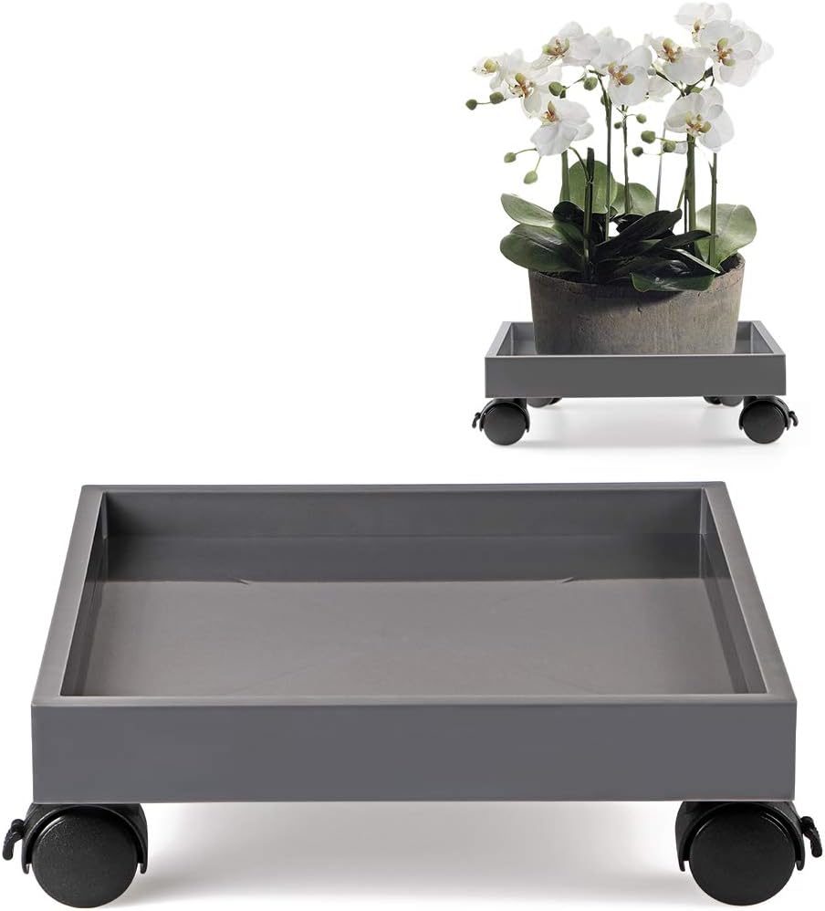 Plataforma cuadrada con ruedas para plantas 110lb