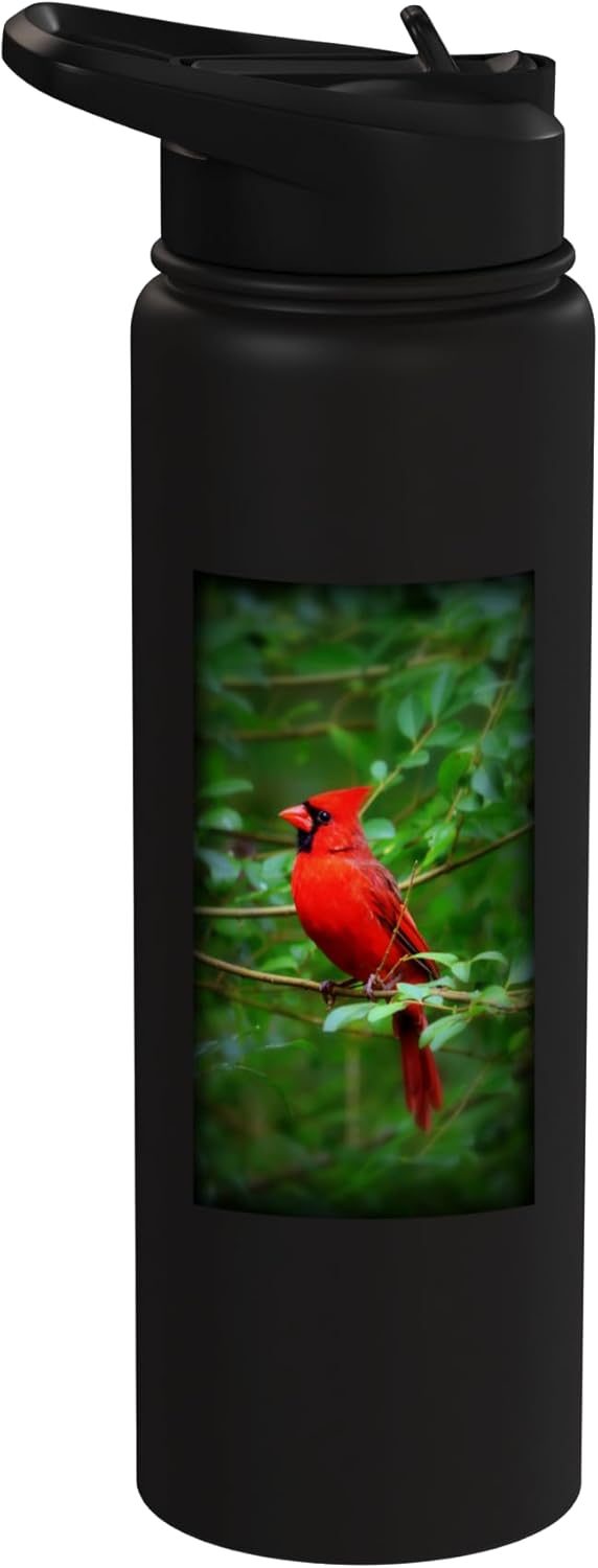 Botella de agua acero inoxidable cardinal rojo sin bpa