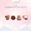 Macetas terracota pastel 1.7pulg set 30 para musgo hadas