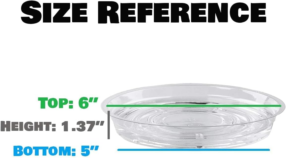 Set 20 platillos plástico transparente 6pulg para macetas