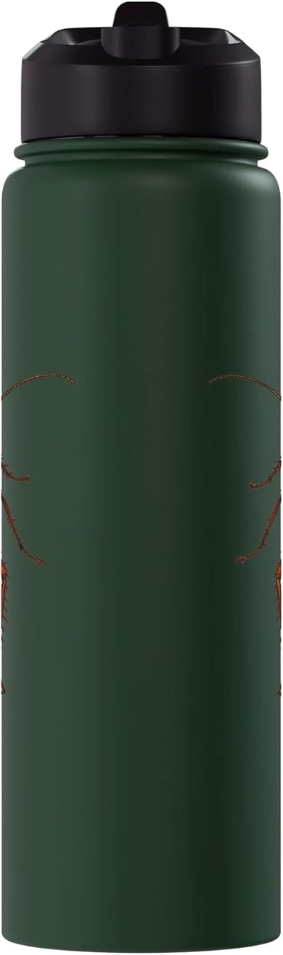 Botella agua acero inox aislada para cucarachas