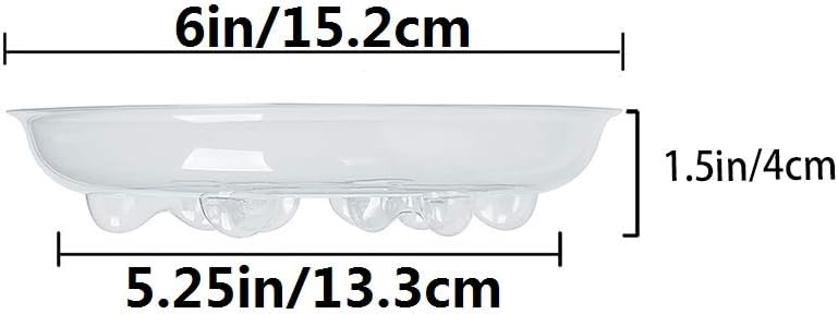 Base plástico transparente para plantas 5uds