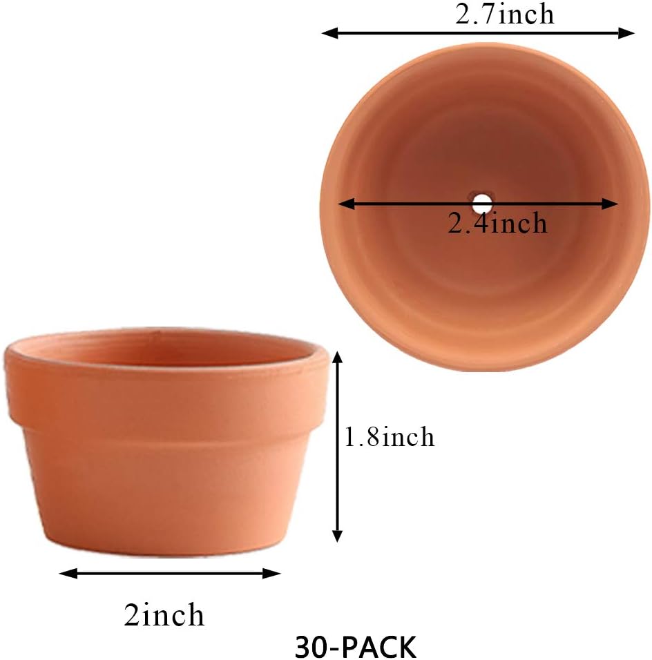 Macetas terracota poco profundas 2.7pulg juego 30 para cactus