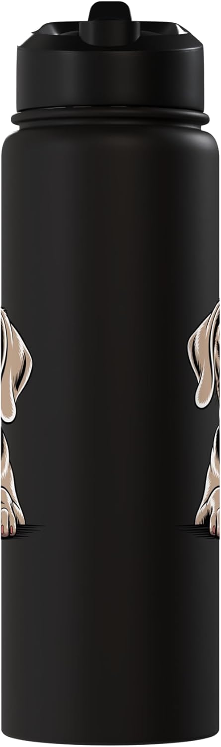 Botella de agua aislada Weimaraner acero inoxidable