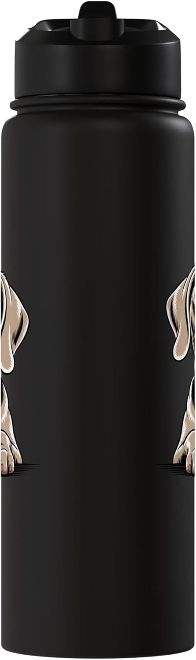 Botella de agua aislada Weimaraner acero inoxidable