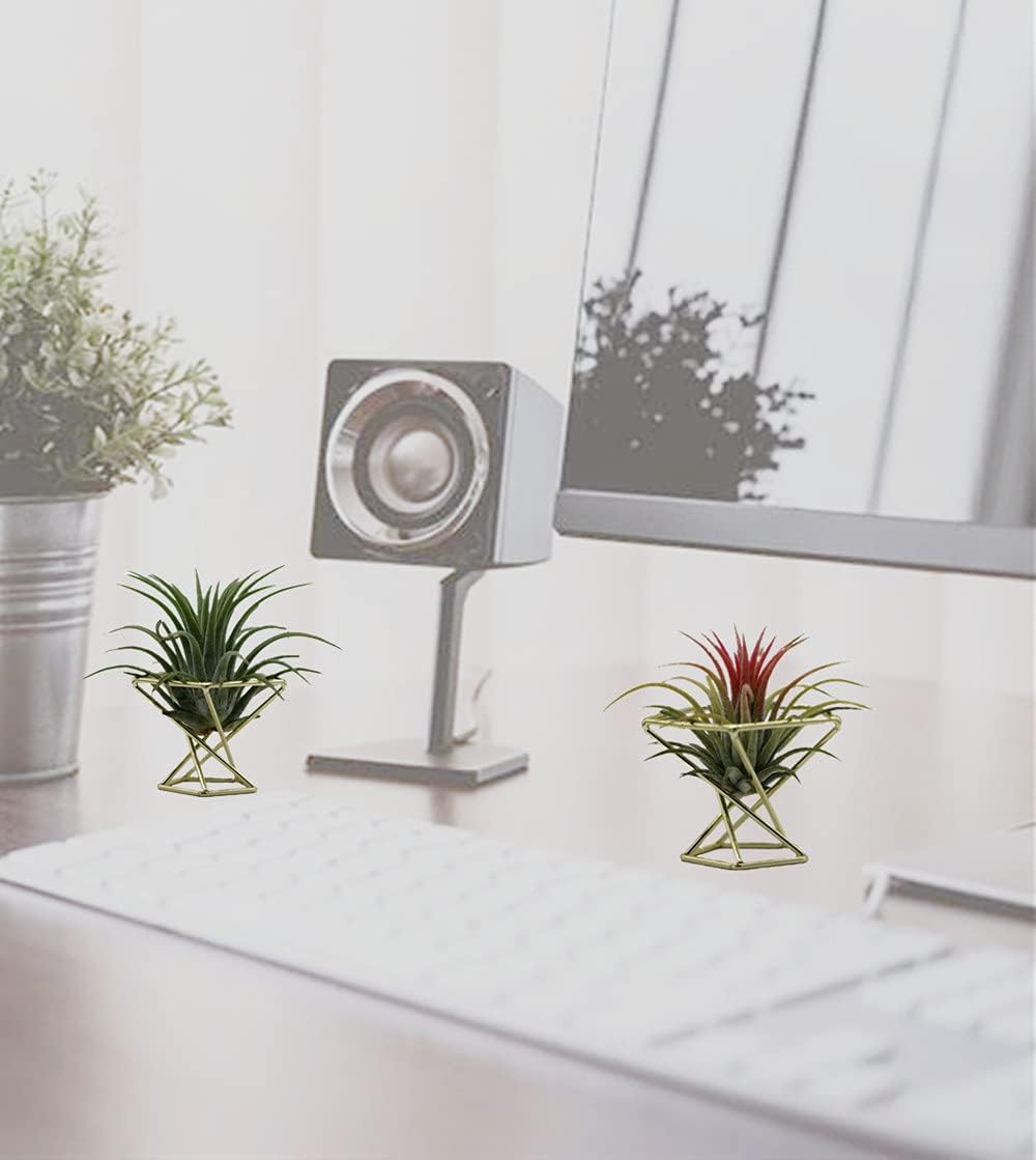 Soporte geométrico para plantas de aire 3uds dorado