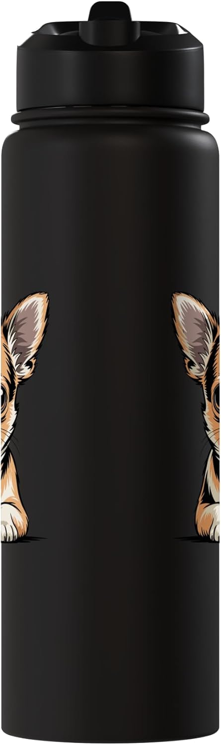 Botella de agua aislada para perros Chi de acero inoxidable