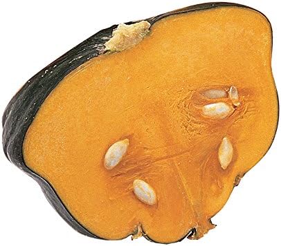Semillas calabaza invierno Buttercup Burgess 30