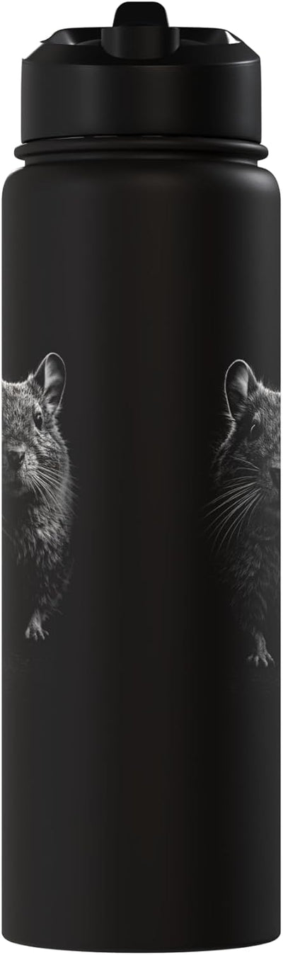 Botella agua acero inox aislada foto negra y blanca