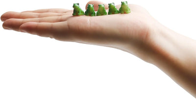 30 Pzas Ranas Resina Miniaturas para Terrario y Manualidades