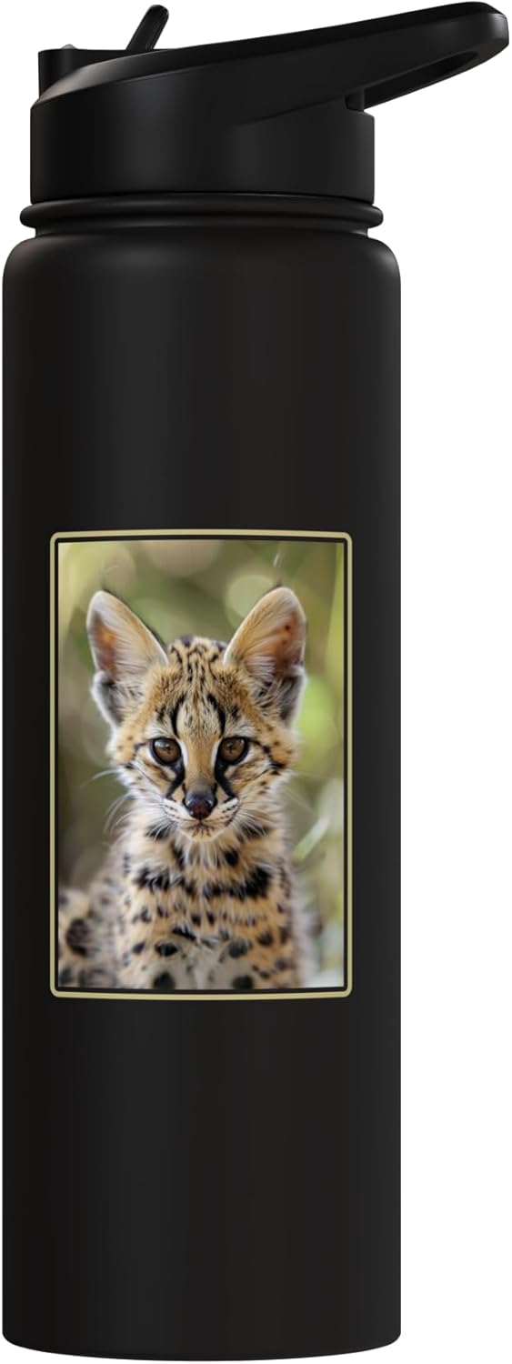 Botella de agua aislada de acero inoxidable Servals